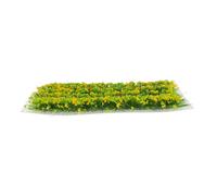 Beatifufu 1 boîte Miniature Flower Tuft Resin Decor for Diorama Landscaping Bright Color Micro Landscape Material for DIY Mini House Crafting