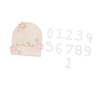 Beatifufu 1ensemble Plaques Pour Annonce De Naissance De Jalons Garçon Fille Mensuelles Accessoires Photo Pour Fête Prénatale Et Naissance Pour Et
