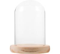 Beatifufu Dôme végétal en Verre Transparent avec Base Bois pour Fleurs et succulentes décoration de Bureau Protection Anti-poussière