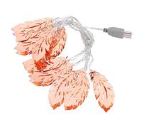 Beatifufu Guirlande LED avec Plumes Lampe USB Lumières Décoration de Chambre et Veilleuse Adulte Ambiance Chaleureuse et Romantique