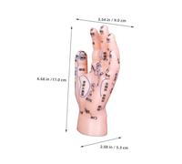 Beatifufu Modèle de Réflexologie Main Acupuncture avec Points Précis pour Enseignement Tcm Outil Pédagogique PVC Apprentissage Facile pour Débutants
