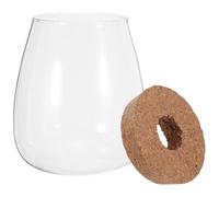 Beatifufu Vase de Propagation Hydroponique et Plateau en Bambou en Verre avec Bouchon en Liège Résistant la Chaleur pour Orchidées et Décoration Intérieure