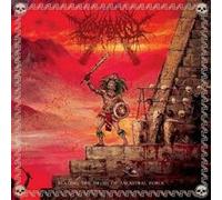 Beating The Drums of Ancestral Force
