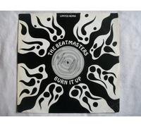 BEATMASTERS / BURN IT UP