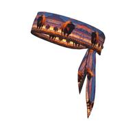 Beau bandeau de sport imprimé bison, double face avec cravates, polyvalent pour jogging, cyclisme, exercice