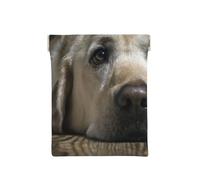 Beau Chien Labrador, Sac de Rangement pour Femmes, Portefeuille supérieur à Presser, Petit Porte-Monnaie, Pochette de Changement