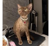 Beau collier réglable pour animal de compagnie, collier de perles à double rangée pour chat et petit chien pour fête, anniversaire (rubis, taille M (25-30 cm)