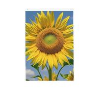 Beau drapeau de bienvenue tournesol pour jardin, 6 x 0,9 m, ne se décolore pas, drapeau double face pour maison, cour, porche, pelouse