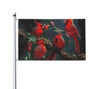 Beau drapeau de jardin imprimé oiseaux rouges - 9,1 x 1,5 m - Double face - Bannière décorative pour extérieur, cour, pelouse, porche, balcon, décoration de jardin