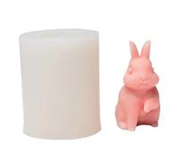 Beau moule à savon et gâteau en silicone unique pour créer un parfum de dessin animé adapté pour les amateurs et les artistes
