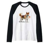 Beau Portrait Aquarelle Akita Manche Raglan