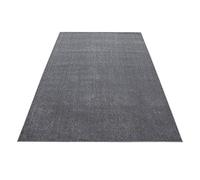 Beau Tapis ATA, Tapis Moderne de Couleur Unie, rectangulaire, Hauteur 12 mm, Taille:140 x 200 cm, Couleur:Gris Clair
