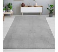 Beau tapis chaud avec des lignes élégantes en gris