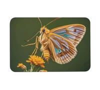 Beau tapis de bain en forme d'ailes de diatomée absorbant l'humidité et la saleté, paillasson avec dos en caoutchouc antidérapant, tapis de sol adapté sous la porte, pour sol de salle de bain