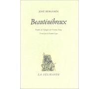 Beau ténébreux : de la nature et figuration frontalière de la poésie (traduit de l'espagnol par Florence Delay)