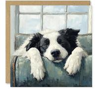 Beau Willows Carte d'anniversaire Border Collie du chien - Adorable carte de chien endormi pour chien, maman, papa, épouse, mari, petite amie, petit ami
