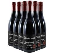 Beaujolais Villages Gamay Noir - Rouge 2021 - Château Thivin - Vin Rouge du Beaujolais (6x75cl)