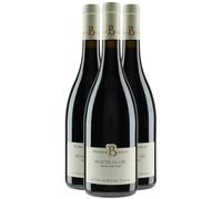 Beaune 1er Cru Le Bas des Teurons - Rouge 2022 - Domaine Pierrick Bouley - Grand Vin Rouge de Bourgogne (3x75cl)