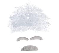 Beaupretty 1 Ensemble De Perruques Sourcils Et Barbe Blancs Accessoires De Déguisement De Scientifique Kit De Déguisement De Cosplay Perruques Folles Accessoire De Déguisement De