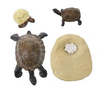 Beaupretty 1 Ensemble Modèles de Tortue Vivid Éducatif pour Simulateur de Cycle de Vie Décoration Pédagogique Accessoire Éveil
