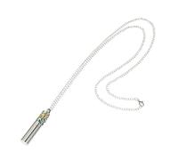 Beaupretty 1 Ensemble Pendentif flacon de parfum pendentif parfumé colliers diffuseurs d'huiles essentielles pendentif aromathérapie collier d'aromathérapie Acier inoxydable