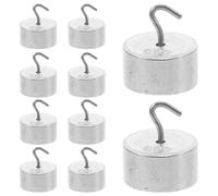 Beaupretty 10 Pièces Set de Poids de Laboratoire à Crochet Chaque Précis et Compact pour Expériences Scientifiques et Enseignement