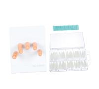 Beaupretty 1ensemble Main Entraînement Pour Nail Art Modèle De Doigt Flexible Avec Accessoires Magnétiques Outils Pratiques Pour Formation Manucure Et Affichage Créatif De Designs