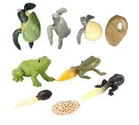 Beaupretty 2 Ensembles Figurines Évolution Tortue et Modèles Réalistes Éducatifs pour Garçon Fille Cadeau Apprentissage Nature