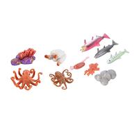 Beaupretty 2 Ensembles Modèles Cycle de Vie Poisson Décoratifs Saumon et Poulpe Réalistes Aide Pédagogique Science Garçon Fille
