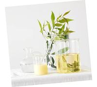 Beaupretty 2 Paquets Bâtons pour Expériences Délectrification par Frottement Matériel Pédagogique Physique pour Cours de Physique et Laboratoire