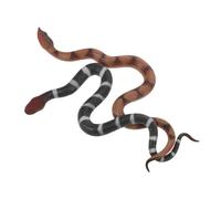 Beaupretty 2 Pièces Figurines de Serpent Réalistes TPR Souple Lot de Modèles Cobra et Serpent pour Décorations Halloween Farces et Apprentissage Ludique