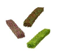 Beaupretty 3 Pièces Miniature Shrub Strips DIY Landscape Model Plants for Table and Dollhouse Scenery Lightweight PE Material Natural Color for Architecture and Train Railway Maquette