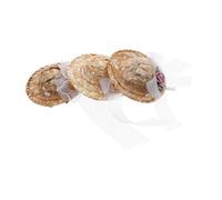 Beaupretty 3pièces Chapeau pour Poule Et Mini Chapeaux Tissés pour Hamster Perroquet Ou Oiseau Couvre-Chef De Fête à Motif Floral pour Anniversaires Et Festivals