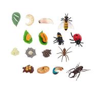 Beaupretty 4 Ensembles Modèles Cycle de Vie Animaux Plastique Sécurisé Coccinelle Cerf-Volant Araignée Jouets Éducatifs Garçon Fille pour Apprentissage Sciences Naturelles
