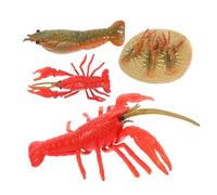 Beaupretty 4 pièces Figurines Cycle de Vie Homard Modèles Éducatifs pour Garçon Fille Jouets Évolution Animale Cognitive et Décorative