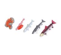 Beaupretty 4 pièces Figurines de Saumon Modèle Réaliste pour Éducation Précoce des Garçon Fille Cognitif et Outil Observation des Poissons Aide à Apprentissage Cycle de Vie Couleur Aléatoire