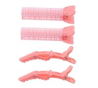 Beaupretty 4 Pièces Pinces à Bigoudis Pour Donner Du Volume Aux Cheveux Pinces Pour Racines Et Sans Traces Pour Volume