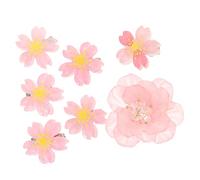 Beaupretty 7pièces Barrettes à Décoratives Pour Cheveux Accessoires Élégants Et Pour Et Événements Spéciaux