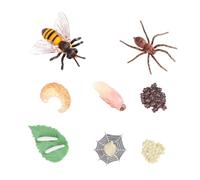 Beaupretty 8 pièces Modèle Éducatif Cycle de Vie Insectes pour Garçon Fille Jouets Évolution Réalistes Abeille et Araignée Kit Observation Nature Garçon Fille