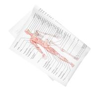 Beaupretty Affiche Anatomie Humaine Poster Squelette et Muscles Illustration Éducative pour École Laboratoire Enseignement