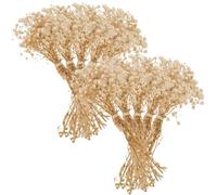 Beaupretty Bouquet de Fleurs Séchées Gypsophile Réaliste 10 Bouquets Beige sans Entretien pour Décoration Salon ou Balcon