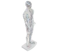 Beaupretty Modèle Acupuncture Masculin pour Formation Médicale Corps Humain avec Points Acupuncture Précis Mannequin Éducatif pour Hôpital et Pratique