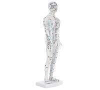 Beaupretty Modèle Acupuncture Masculin Précis avec Méridiens et Points de Pression pour Formation Médecine Traditionnelle Chinoise Outil Pédagogique pour Étudiants et Praticiens