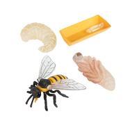 Beaupretty Modèle Cycle de Croissance Abeille Jeu Éducatif Garçon Fille Figurines Plastique Sécurisé Jeu Cognitif