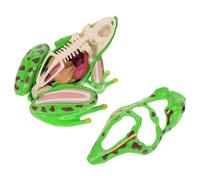 Beaupretty Modèle de Éducatif à Assembler pour Garçon Fille Scientifique Stem avec Organes Amovibles Kit de Dissection pour et Apprentissage Scolaire