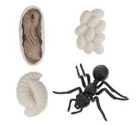 Beaupretty Modèle Éducatif Ouvrière Plastique Cycle de Cognitif pour Garçon Fille Apprentissage Précoce Nature et