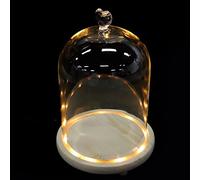 Beaupretty Moule romantique en plâtre avec cloche en verre pour la Saint-Valentin, anniversaire de mariage