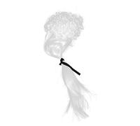 Beaupretty Perruque De Cosplay Avocat Longue Chevelure Bouclée Blanche Pour Homme Accessoire De Costume Baroque Pour Fête Et Événements