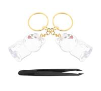 Beaupretty Porte-clés Commémoratif Capsule Portable, 2 Pièces | ABS Transparent, Pinces, pour Souvenirs de Toilettage, Cadeau de Consolation, Usage Porte-clés