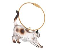 Beaupretty Porte-clés Transparent pour Poils de Chat Capsule de Rangement Pratique pour Souvenirs de Poils Animaux Boîte de Conservation Kawaii pour Mémoires de Chats